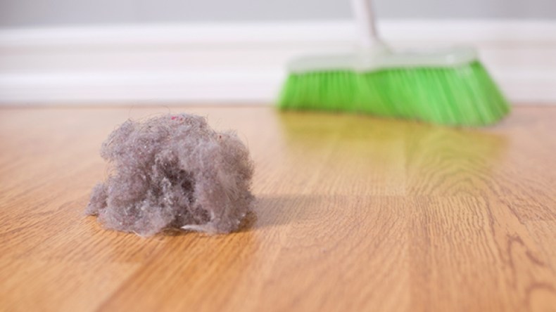 أنت تكنسين خلايا جلدك الميتة!