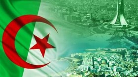 ما هو أصلك؟