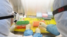 الصين تعترف لأول مرة بامتلاك فيروسات تشبه كورونا!