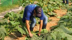 الشباب الجزائري لا يزال يرفض امتهان الفلاحة!