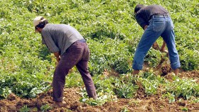 قرى الإنتاج الفلاحي تدخل خط المنافسة بأسعار مغرية بعاصمة النفط