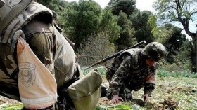 Tlemcen: Arrestation d’un élément de soutien aux groupes terroristes