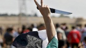 ارفعوا أيديكم عن انتفاضة السكاكين