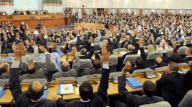 السّاسة والقطّ‮ ‬بشبش‮!‬