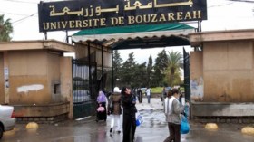 الـ”أل‮. ‬أم‮. ‬دي‮” ‬ضرورة‮.. ‬لكن‮ ‬ينبغي‮ ‬مراجعة طريق التدريس بالجامعة