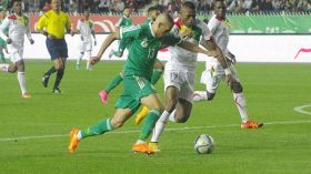 نحو عودة الخضر إلى ملعب تشاكر بالبليدة‮..‬