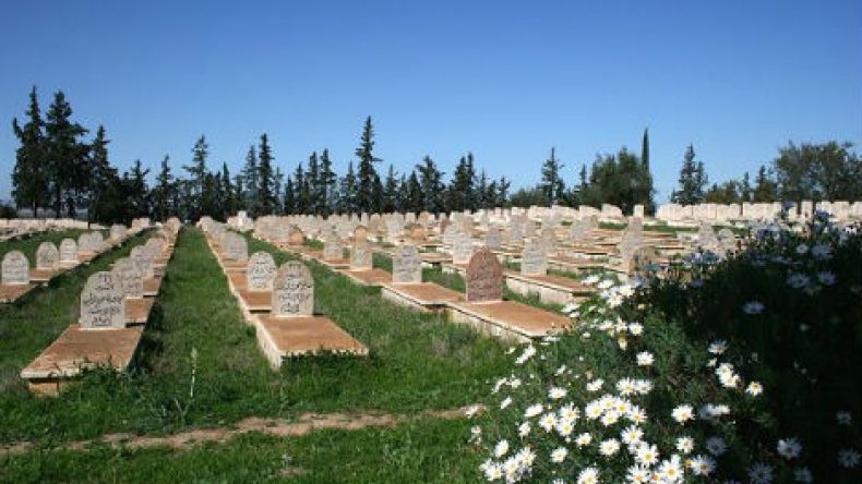 قاموس لأسماء شهداء الثورة لولاية الجزائر ديسمبر المقبل