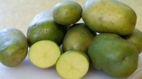 إياك وتناول البطاطا التي يميل لونها للأخضر.. والسبب؟