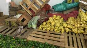 إتلاف خضروات مسقية بالمياه القذرة شمال الأغواط