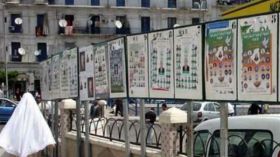 المواسم الإنتخابية فرصة الشابات لتحقيق المصالح الشخصية!