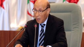 ولد خليفة: التعديل الدستوري سيعزّز جودة الأداء الديمقراطي