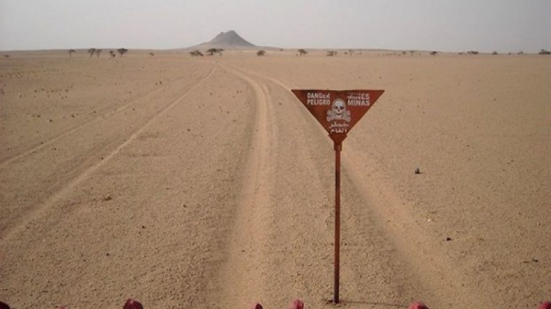 الصحراء الغربية من أكثر المناطق تلغيما في العالم