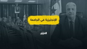 ترقية الإنجليزية في الجامعات.. مشروع سياسي أم خطوة يفرضها العمل الأكاديمي؟