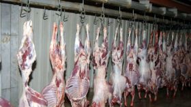 البلدية تُجهز على الإستثمار الخاص بالوادي