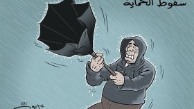 سقوط الحماية