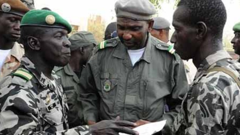 Malians Split Over Junta as Opposition Abroad Mounts