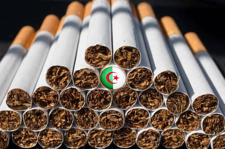 French-Italian Customs Blockade On Algerian Cigarettes