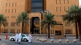 سعودي يقاضي شخصا “قتل نملة”!