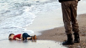 دموع التماسيح