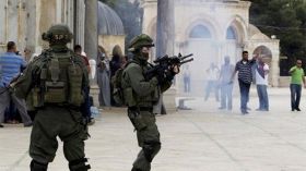 سقطت كل البدائل