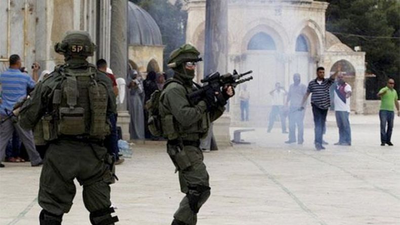 سقطت كل البدائل