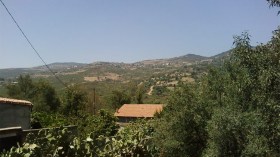 عشوبة