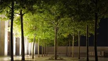 حديقة في‮ ‬كل مسجد