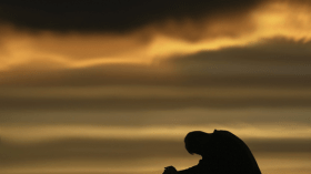 مطفرة في الزوالي!