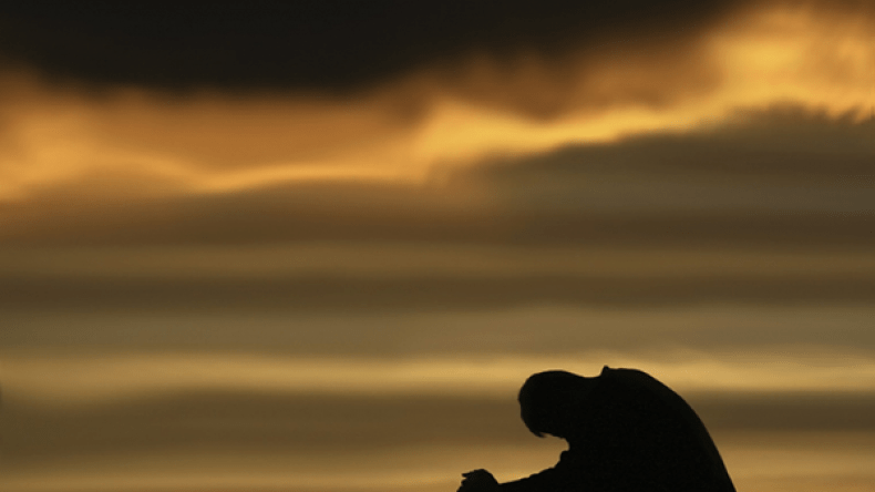 مطفرة في الزوالي!