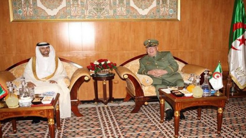 الفريق قايد صالح يجري محادثات مع وزير الطاقة الإماراتي