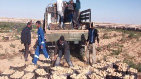 الفلاحون يبحثون عن الدعم وغرف التخزين
