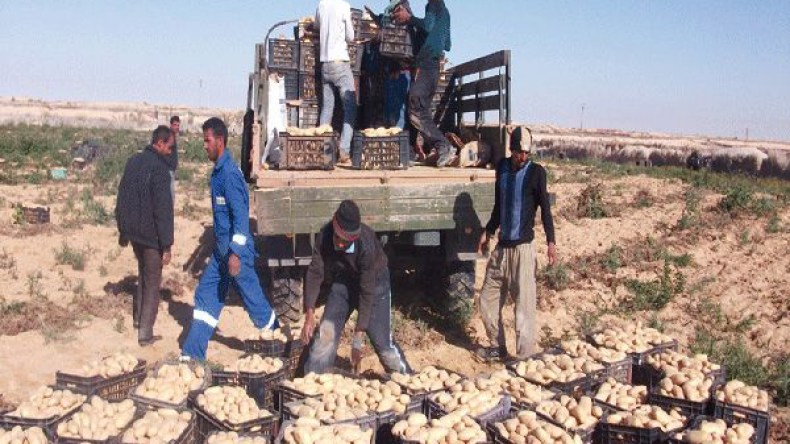 الفلاحون يبحثون عن الدعم وغرف التخزين