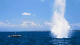 المتفجرات تفخّخ الأسماك في 28 ميناءً