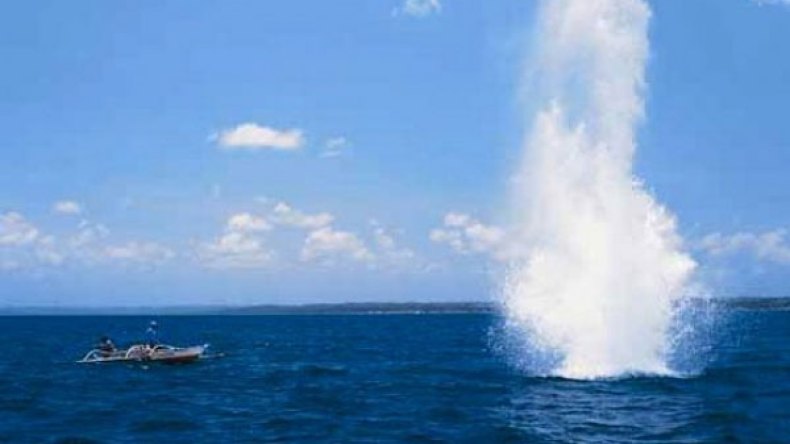 المتفجرات تفخّخ الأسماك في 28 ميناءً