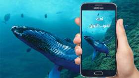 رسائل”آس آم آس” لحماية الأطفال من الحوت الأزرق