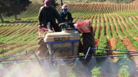 خسائر الفلاحين فاقت 35 مليارا