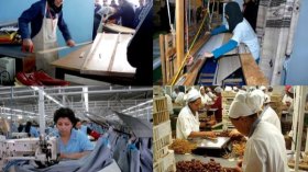 مليونا جزائرية عاملة في 2017