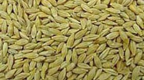 الدرك يلاحق فلاحين “طايوان” أغرقوا المخازن بقمح مستورد مشبوه