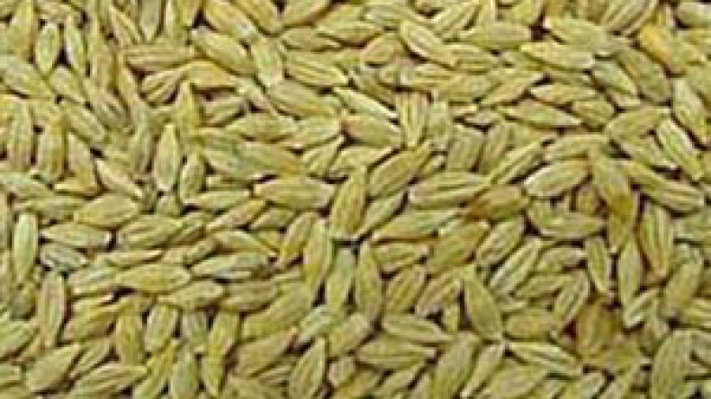 الدرك يلاحق فلاحين “طايوان” أغرقوا المخازن بقمح مستورد مشبوه