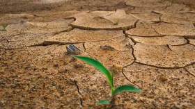 الاحتباس الحراري وقلة الأمطار يهددان قوت الجزائريين