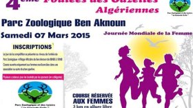 بن عكنون قبلة “غزالات الجزائر” هذا السبت