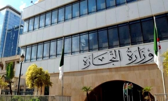 Définition de l’activité et du cahier des charges des importateurs vendeurs en l’état