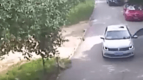 نمر يلتقط فتاة من باب سيارتها!