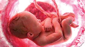 التوتر النفسي يؤدي إلى إنجاب الإناث!