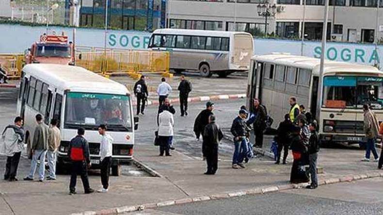 مطالب بفتح خطوط نقل مباشرة من سعيد حمدين لتغطية الطلب المتزايد