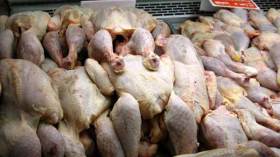 إحباط إغراق السوق بـ7 قناطير من الدجاج الفاسد ببلعباس