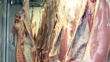 Les premières quantités des viandes indiennes arriveront à Alger lundi prochain