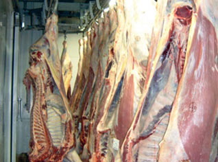 Les premières quantités des viandes indiennes arriveront à Alger lundi prochain