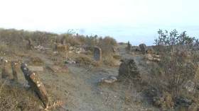 مقبرة الطوال بتافروات.. نموذج لانتهاك حرمة الموتى بالمدية