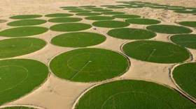 فلاحو الوادي يدقون ناقوس الخطر والمواطنون مرتاحون